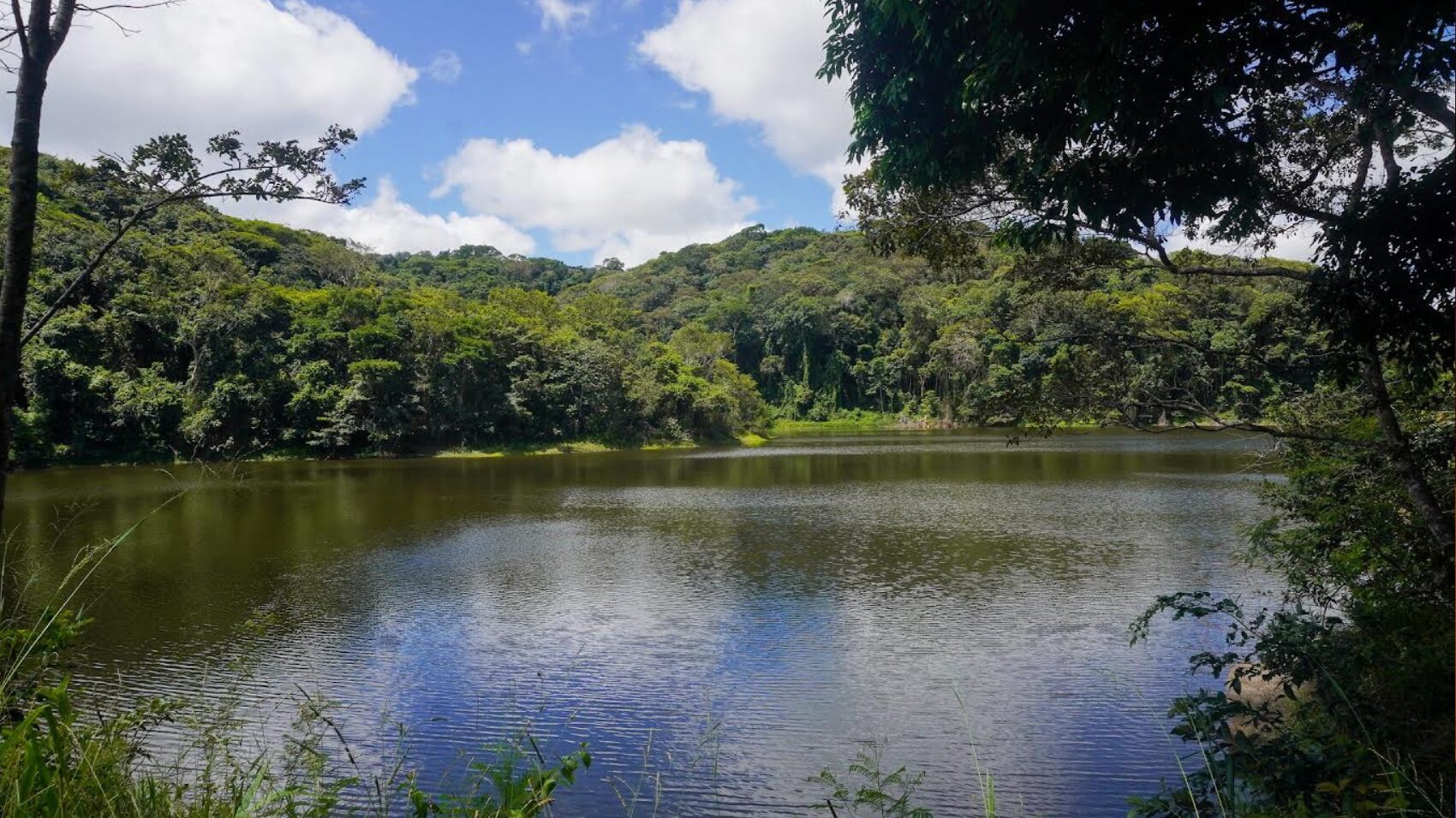 Parque Ambiental Municipal de Serra dos Cavalos celebra 41 anos de ...